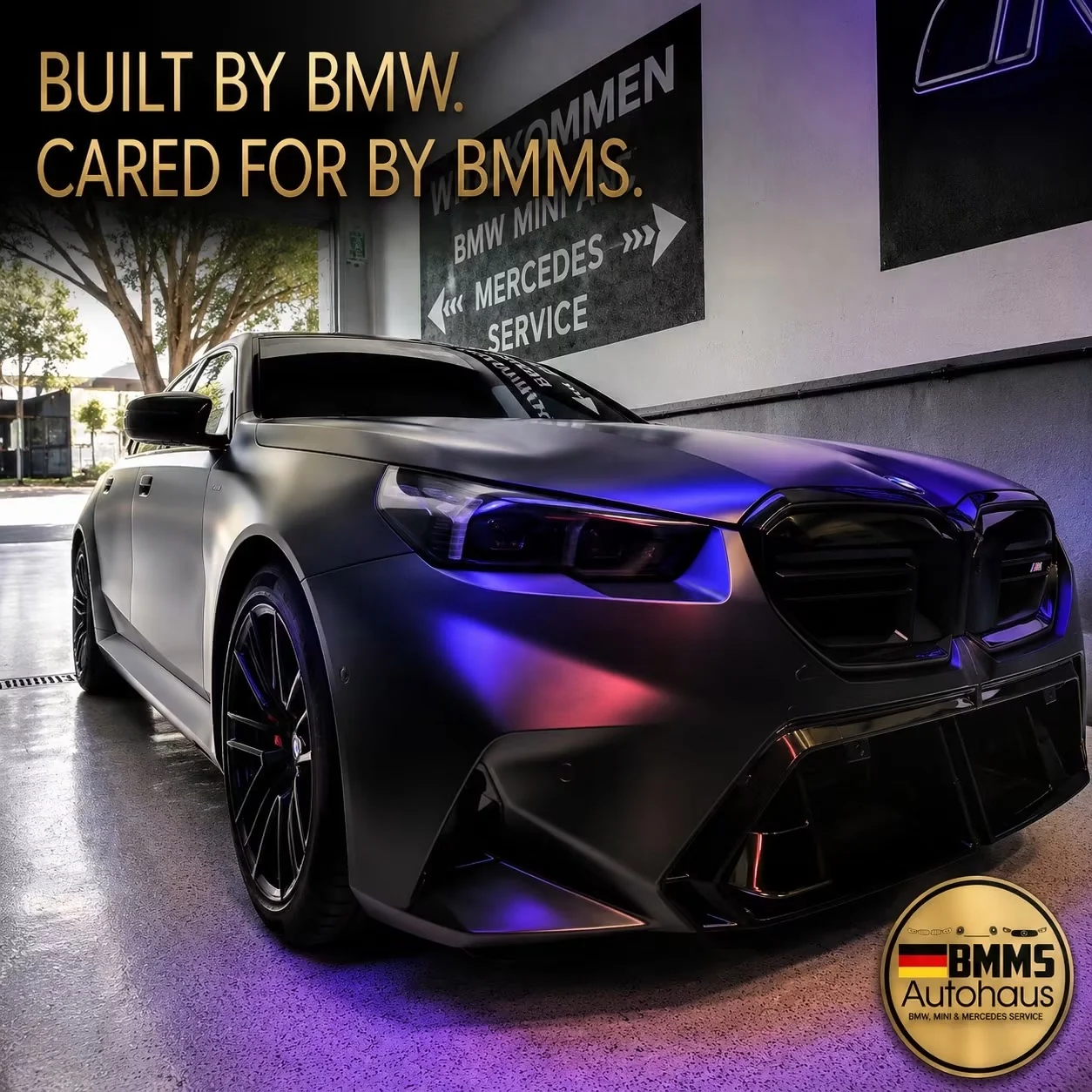 BMMS Autohaus - imagen 7
